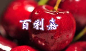 cherry1