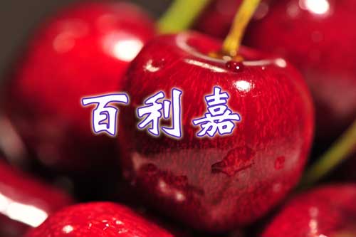 cherry1
